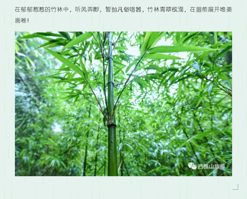 免门票福利！解锁佛山26℃的夏天！
